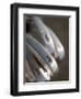 Golf Clubs-null-Framed Premium Photographic Print