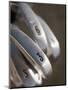 Golf Clubs-null-Mounted Premium Photographic Print