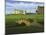 Golf Course 10-William Vanderdasson-Mounted Giclee Print