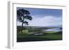 Golf Course 1-William Vanderdasson-Framed Giclee Print