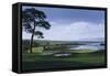 Golf Course 1-William Vanderdasson-Framed Stretched Canvas