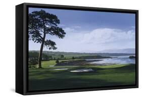 Golf Course 1-William Vanderdasson-Framed Stretched Canvas