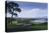 Golf Course 1-William Vanderdasson-Stretched Canvas
