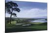 Golf Course 1-William Vanderdasson-Stretched Canvas