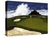 Golf Course 2-William Vanderdasson-Stretched Canvas