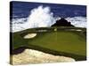 Golf Course 2-William Vanderdasson-Stretched Canvas