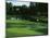 Golf Course 3-William Vanderdasson-Mounted Giclee Print