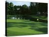 Golf Course 3-William Vanderdasson-Stretched Canvas