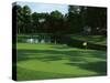 Golf Course 3-William Vanderdasson-Stretched Canvas