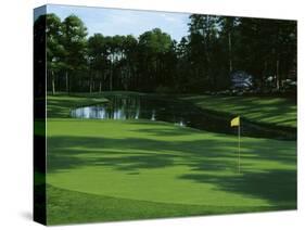 Golf Course 3-William Vanderdasson-Stretched Canvas