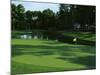 Golf Course 3-William Vanderdasson-Mounted Giclee Print