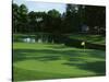 Golf Course 3-William Vanderdasson-Stretched Canvas