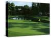 Golf Course 3-William Vanderdasson-Stretched Canvas