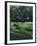 Golf Course 4-William Vanderdasson-Framed Giclee Print