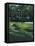 Golf Course 4-William Vanderdasson-Framed Stretched Canvas