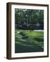 Golf Course 4-William Vanderdasson-Framed Giclee Print