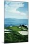 Golf Course 5-William Vanderdasson-Mounted Premium Giclee Print