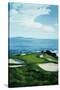 Golf Course 5-William Vanderdasson-Stretched Canvas