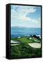 Golf Course 5-William Vanderdasson-Framed Stretched Canvas