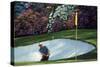 Golf Course 6-William Vanderdasson-Stretched Canvas