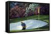 Golf Course 6-William Vanderdasson-Framed Stretched Canvas