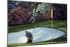 Golf Course 6-William Vanderdasson-Mounted Giclee Print