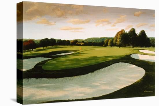 Golf Course 8-William Vanderdasson-Stretched Canvas