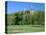 Golf Course and Castell Coch, Tongwynlais, Near Cardiff, Wales-Peter Thompson-Stretched Canvas