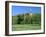 Golf Course and Castell Coch, Tongwynlais, Near Cardiff, Wales-Peter Thompson-Framed Photographic Print