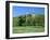 Golf Course and Castell Coch, Tongwynlais, Near Cardiff, Wales-Peter Thompson-Framed Photographic Print