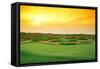 Golf Course at Dusk, Harborside International Golf Center, Chicago, Cook County, Illinois, USA-null-Framed Stretched Canvas