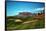 Golf Course at Foot of Mountain Range Scottsdale Arizona-null-Framed Stretched Canvas