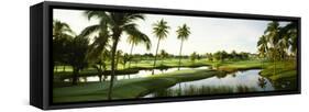 Golf Course at Isla Navadad Resort in Manzanillo, Colima, Mexico-null-Framed Stretched Canvas