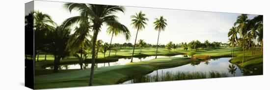 Golf Course at Isla Navadad Resort in Manzanillo, Colima, Mexico-null-Stretched Canvas