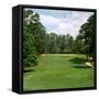 Golf Course at Pinehurst Resort, Pinehurst, Moore County, North Carolina, USA-null-Framed Stretched Canvas