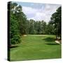 Golf Course at Pinehurst Resort, Pinehurst, Moore County, North Carolina, USA-null-Stretched Canvas