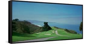 Golf Course at the Coast, Torrey Pines Golf Course, San Diego, California, USA-null-Framed Stretched Canvas