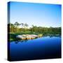 Golf Course at the Lakeside, Regatta Bay Golf Course and Country Club, Destin, Okaloosa County-null-Stretched Canvas