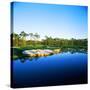 Golf Course at the Lakeside, Regatta Bay Golf Course and Country Club, Destin, Okaloosa County-null-Stretched Canvas