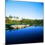 Golf Course at the Lakeside, Regatta Bay Golf Course and Country Club, Destin, Okaloosa County-null-Mounted Photographic Print