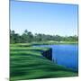 Golf Course at the Lakeside, Regatta Bay Golf Course and Country Club, Destin, Okaloosa County-null-Mounted Photographic Print