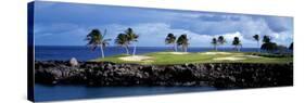 Golf Course at the Seaside, Hawaii, USA-null-Stretched Canvas