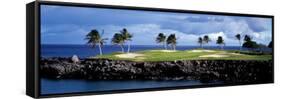 Golf Course at the Seaside, Hawaii, USA-null-Framed Stretched Canvas