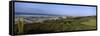 Golf Course at the Seaside, Kiawah Island Golf Resort, Kiawah Island, Charleston County-null-Framed Stretched Canvas