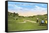 Golf Course, Balboa Park, San Diego, California-null-Framed Stretched Canvas