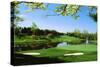 Golf Course, Congressional Country Club, Potomac, Montgomery County, Maryland, USA-null-Stretched Canvas