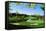 Golf Course, Congressional Country Club, Potomac, Montgomery County, Maryland, USA-null-Framed Stretched Canvas