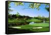 Golf Course, Congressional Country Club, Potomac, Montgomery County, Maryland, USA-null-Framed Stretched Canvas