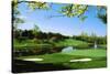 Golf Course, Congressional Country Club, Potomac, Montgomery County, Maryland, USA-null-Stretched Canvas