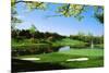 Golf Course, Congressional Country Club, Potomac, Montgomery County, Maryland, USA-null-Mounted Photographic Print